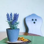 Bed & Breakfast Cetynka Zakopane