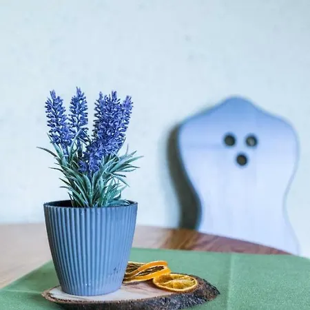 Bed & Breakfast Cetynka Zakopane