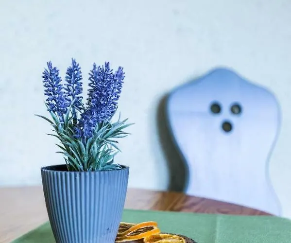 ベッド・アンド・ブレックファスト Cetynka ザコパネ